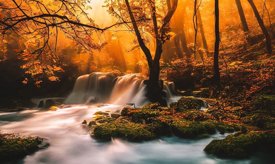 autumnfall